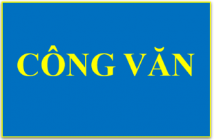 Công văn 454