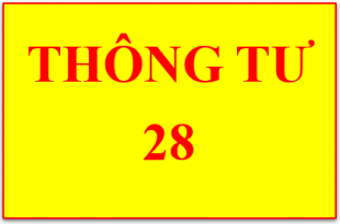 Thông tư 28